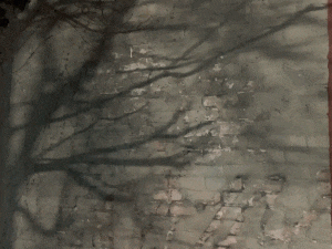 MATTHEW SWARTS  IMG 0190