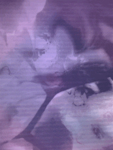 MATTHEW SWARTS  IMG 4047