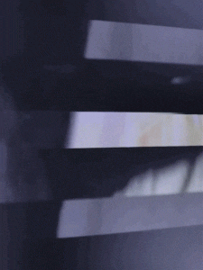 MATTHEW SWARTS  IMG 5413