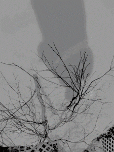 MATTHEW SWARTS  IMG 5976