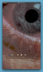MATTHEW SWARTS EYEPRINT SCREEN SHOT 2019 03 13 AT 102604 PM
