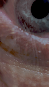 MATTHEW SWARTS EYEPRINT SCREEN SHOT 2019 03 13 AT 102706 PM