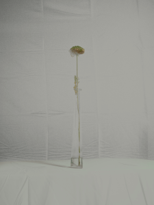 MATTHEW SWARTS  DSC1950 1E