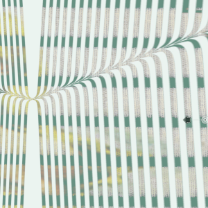 MATTHEW SWARTS OPTICAL FLOW OPTICALFLOWMATTHEWSWARTS