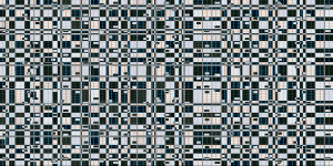 MATTHEW SWARTS FUN ILLUSION MATTHEWSWARTSFUNILLUSION2021C