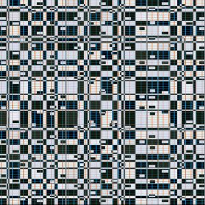 MATTHEW SWARTS FUN ILLUSION MATTHEWSWARTSFUNILLUSION2021C