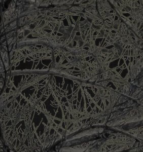 MATTHEW SWARTS  MATTHEWSWARTSMALVERNSTREET2021