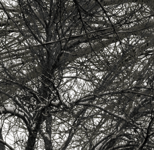 MATTHEW SWARTS PROJECTS MATTHEWSWARTSMALVERNSTREET2021A