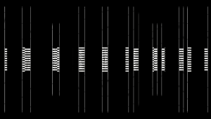 MATTHEW SWARTS PROJECTS MATTHEWSWARTSTRANSPARENTPING2021