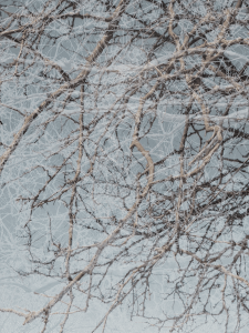MATTHEW SWARTS  IMG 0739 1C