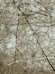 MATTHEW SWARTS  IMG 0739 1E10