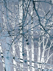 MATTHEW SWARTS BRANCHES IMG 9013 1B 1
