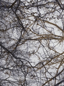 MATTHEW SWARTS  IMG 9099 1 1E2 2