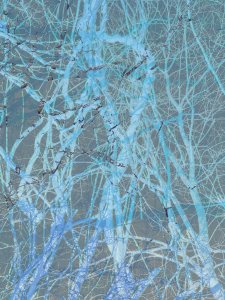 MATTHEW SWARTS  IMG 9982 1C 1 SCALED