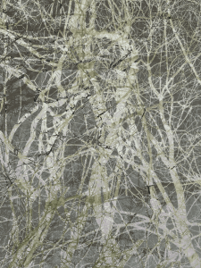 MATTHEW SWARTS  IMG 9982 1G2