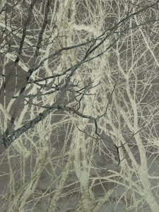 MATTHEW SWARTS  IMG 9982 1H