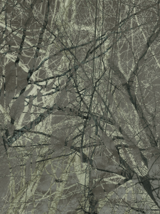 MATTHEW SWARTS  IMG 9982 1J