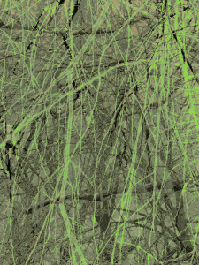 MATTHEW SWARTS  IMG 9982 1P
