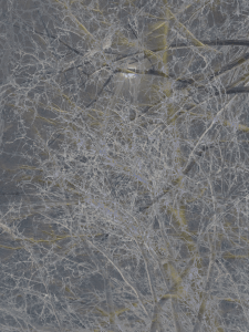 MATTHEW SWARTS BRANCHES IMG 4898 1 1B4F