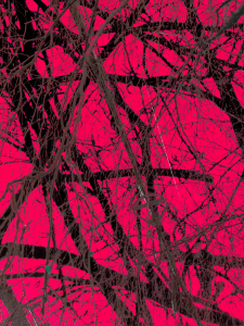 MATTHEW SWARTS BRANCHES IMG 8852 1E