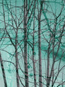 MATTHEW SWARTS BRANCHES IMG 9013 1FW