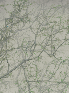 MATTHEW SWARTS  IMG 9348 1B