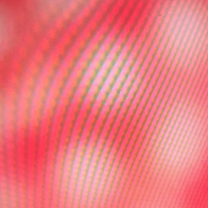 MATTHEW SWARTS IMG 0010