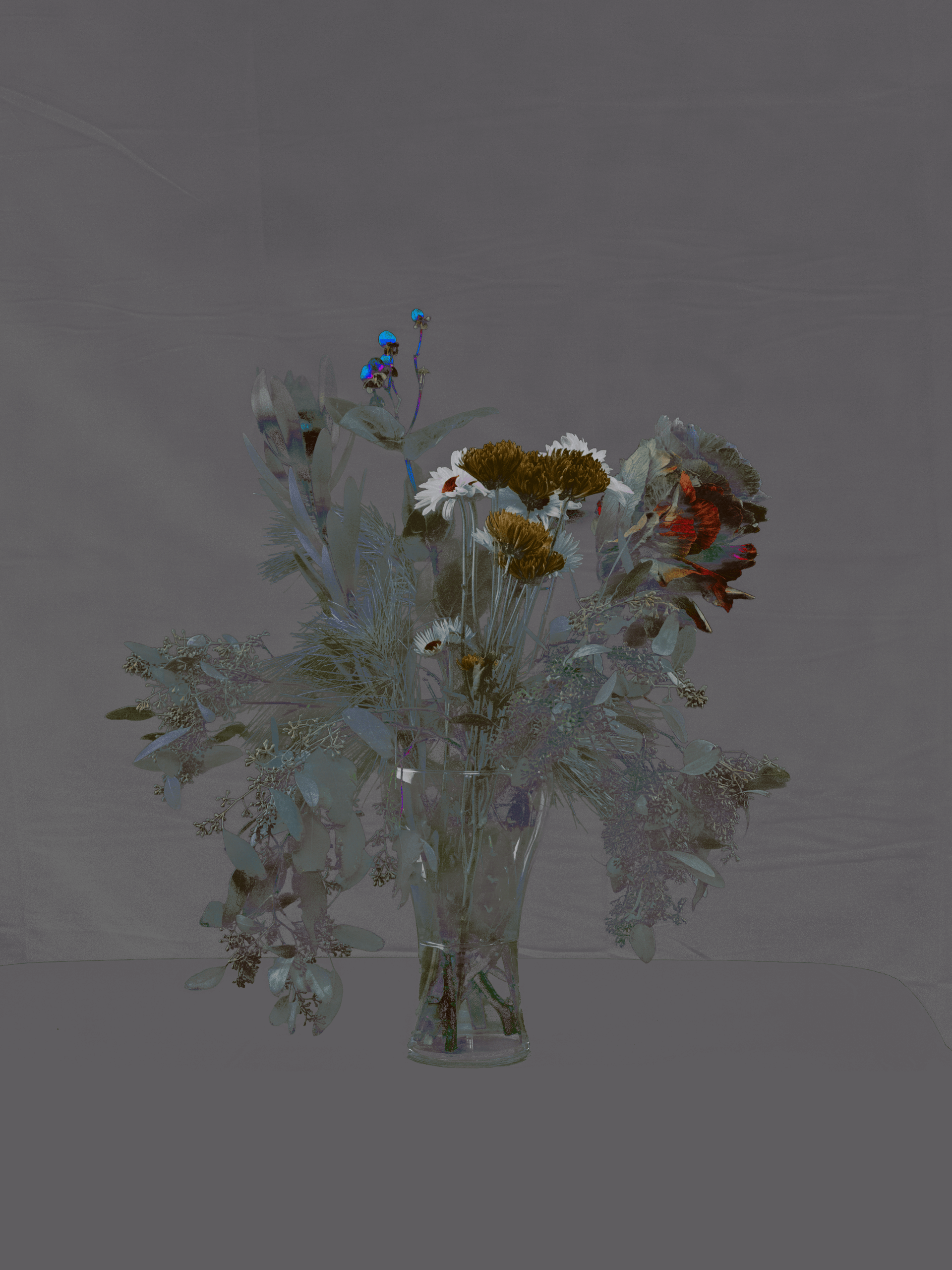 MATTHEW SWARTS FLOWER STUDIES DSC2176 1A2