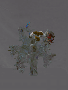 MATTHEW SWARTS FLOWER STUDIES DSC2176 1A2