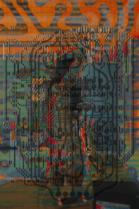 MATTHEW SWARTS  C2016CIRCUITSSELFPORTRAITH