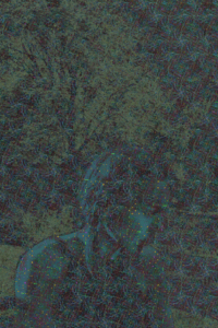 MATTHEW SWARTS  CLEMENCE2014DSCF0227C RECOVERED
