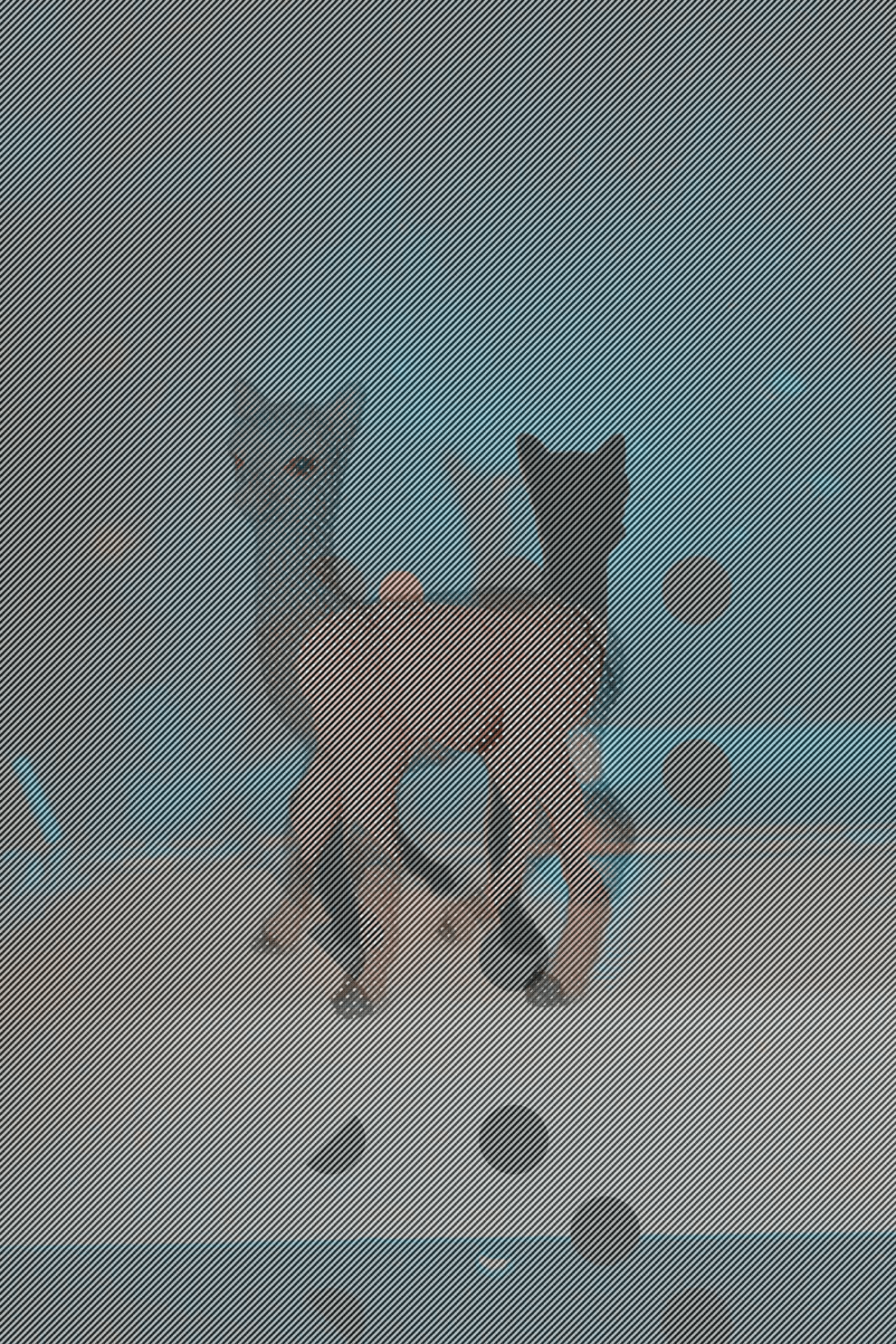 MATTHEW SWARTS DSC1041D2 COPY