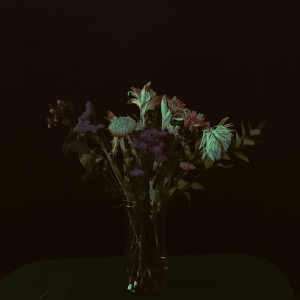 MATTHEW SWARTS DSC1891C