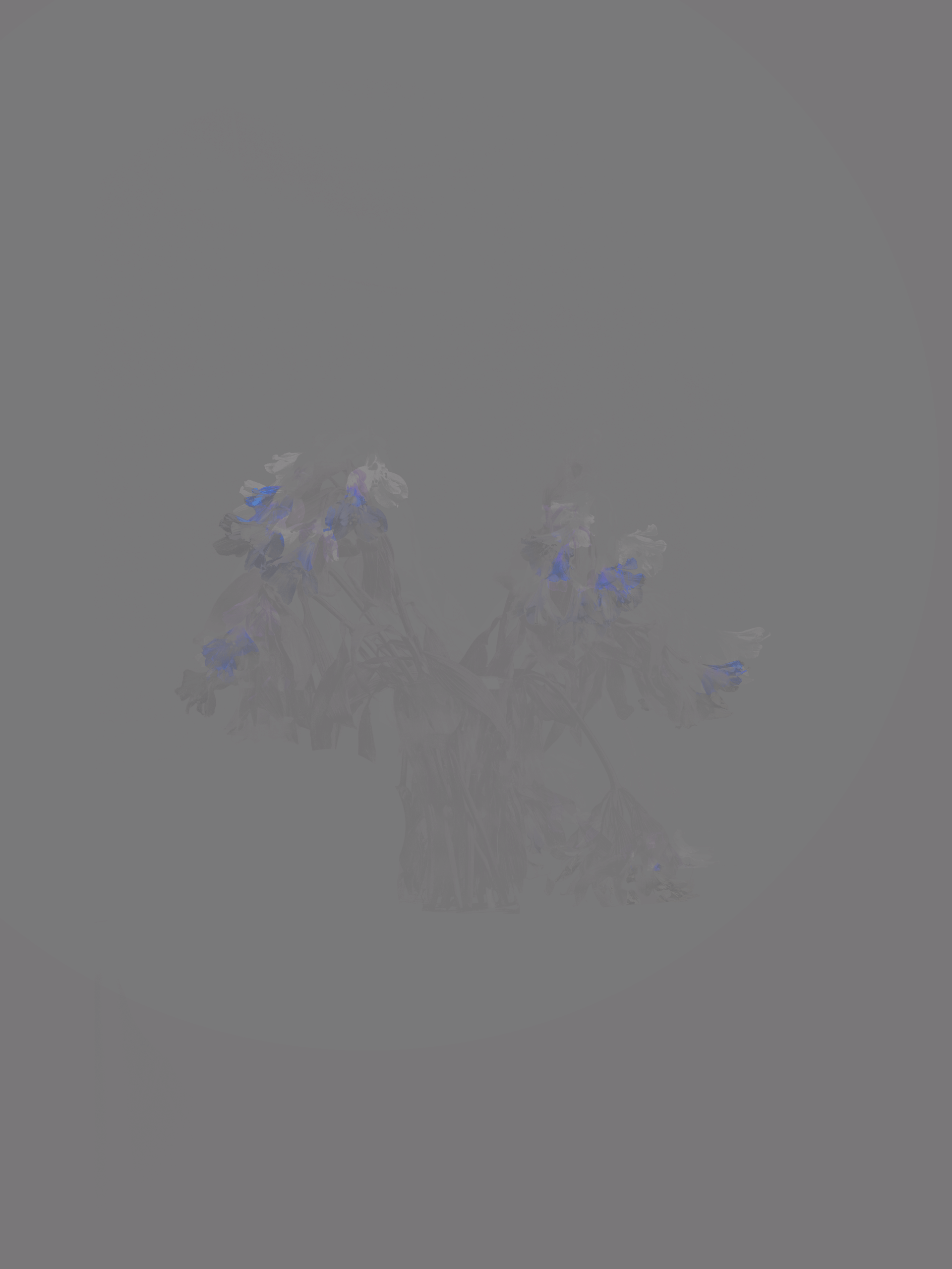 MATTHEW SWARTS DSC2103A