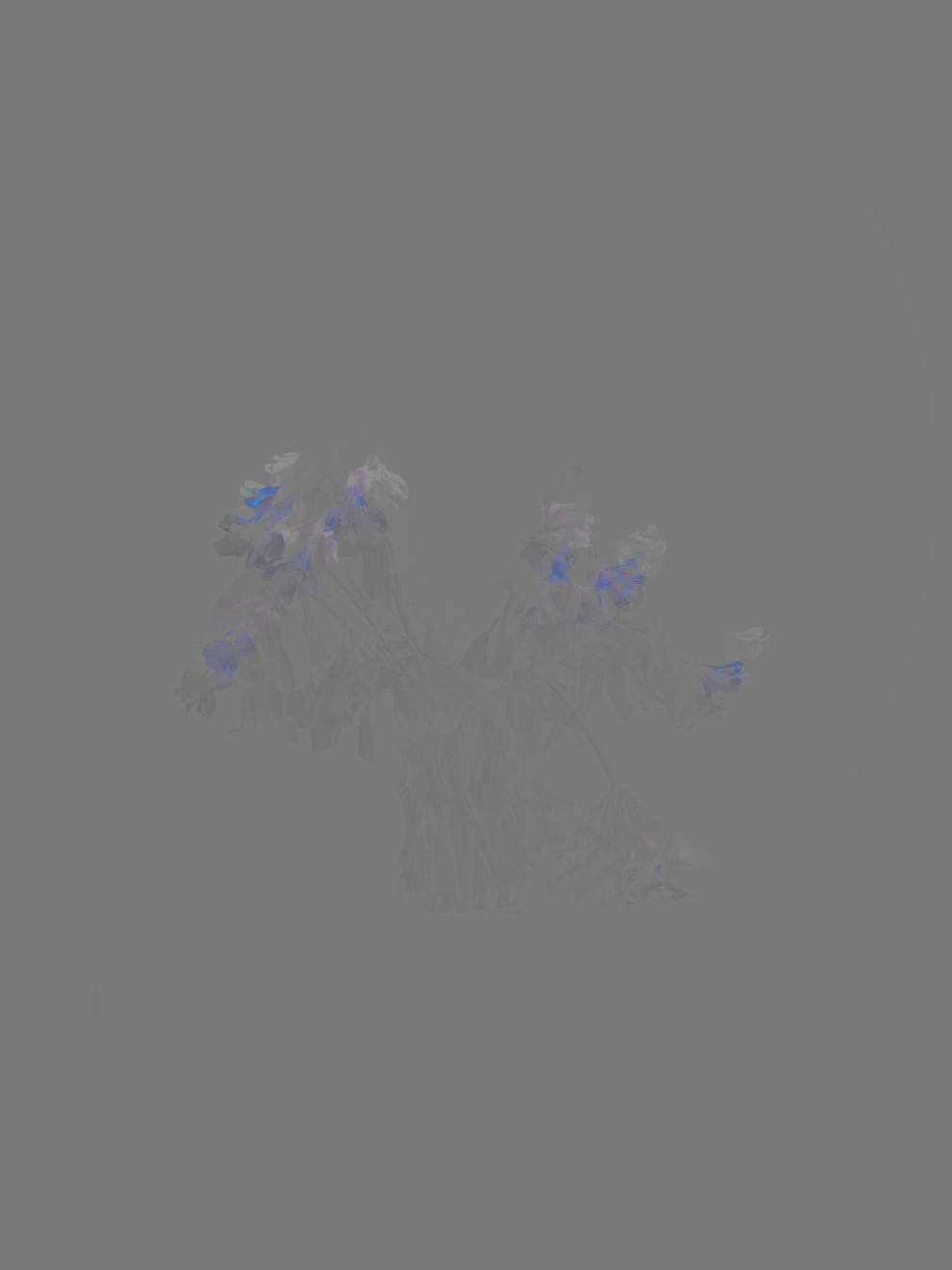 MATTHEW SWARTS DSC2103A