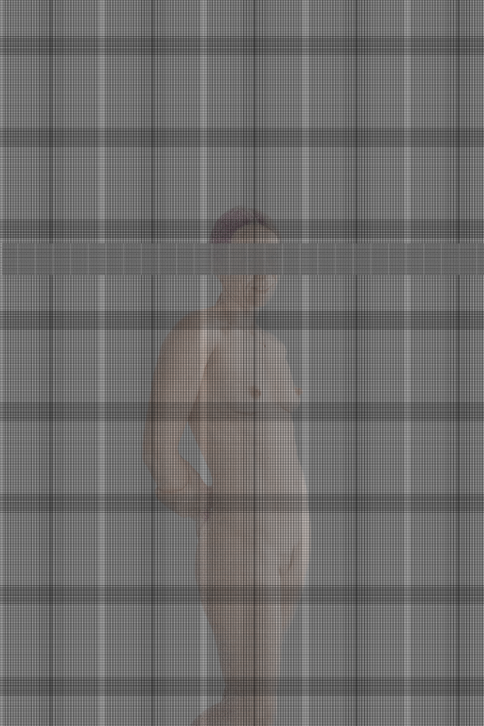 MATTHEW SWARTS DSC4562