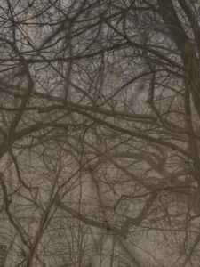 MATTHEW SWARTS  IMG 2402 1A