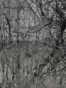 MATTHEW SWARTS  IMG 2402 1A2A