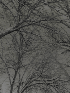 MATTHEW SWARTS  IMG 2528 1E