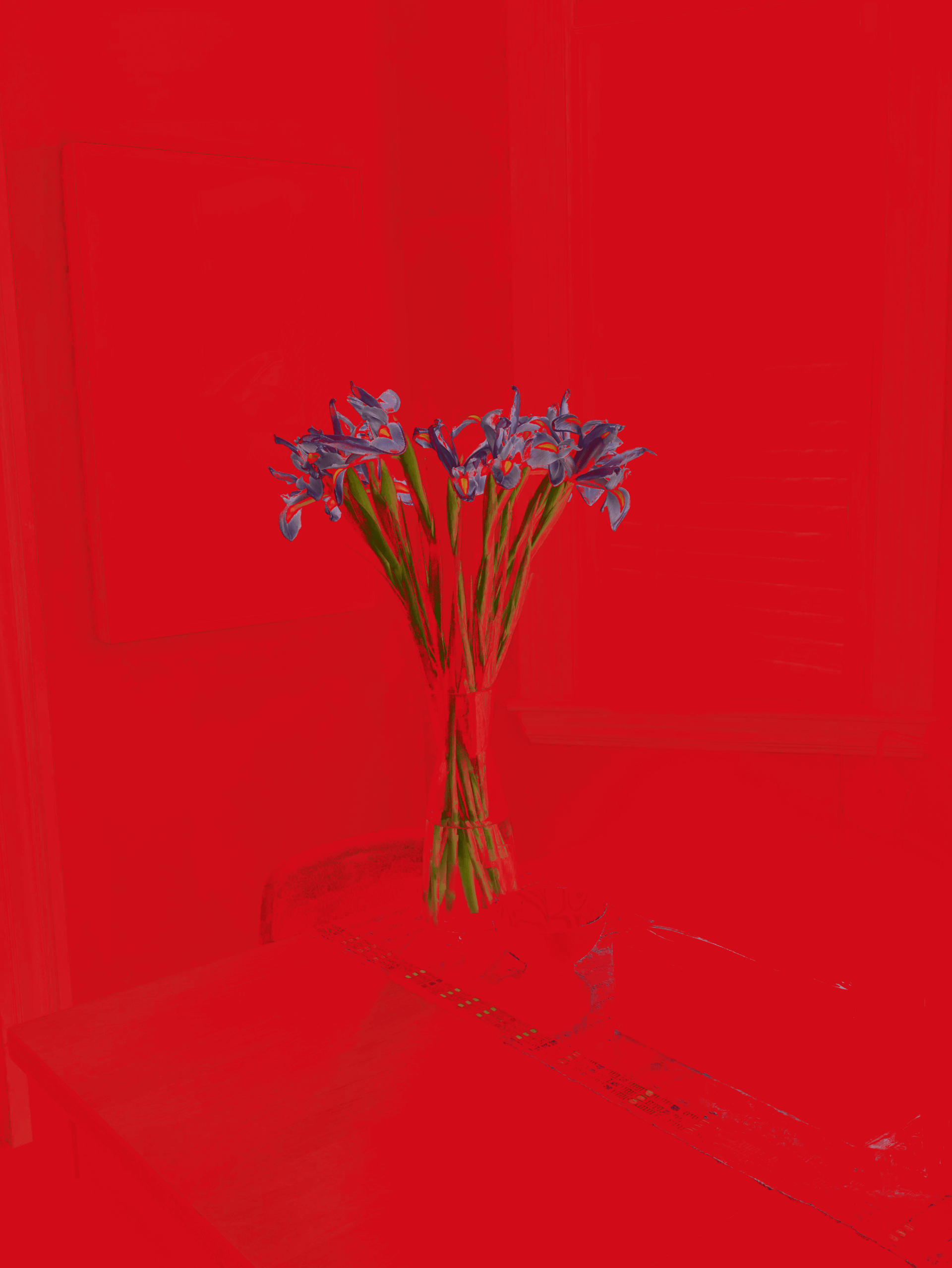 MATTHEW SWARTS IMG 3478S 1B