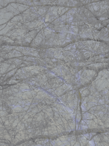 MATTHEW SWARTS  IMG 4898 1 1B4G