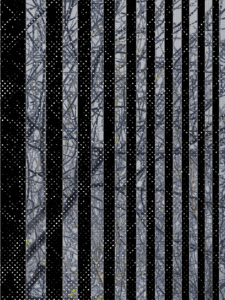 MATTHEW SWARTS  IMG 4912 1 1E