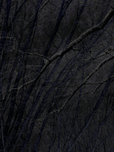 MATTHEW SWARTS  IMG 7772 1A