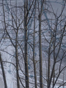 MATTHEW SWARTS  IMG 9013 1A