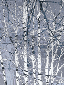 MATTHEW SWARTS  IMG 9013 1B