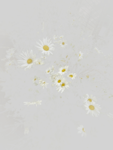 MATTHEW SWARTS  IMG 9175