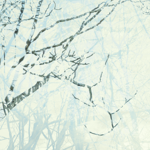 MATTHEW SWARTS IMG 9982 1B