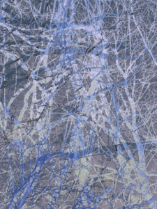 MATTHEW SWARTS  IMG 9982 1E