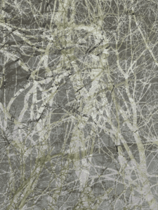 MATTHEW SWARTS  IMG 9982 1F