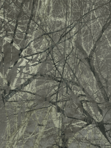 MATTHEW SWARTS  IMG 9982 1J